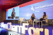El futuro de las exportaciones energéticas de Argentina se debate en un foro de AmCham