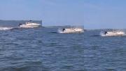 Captan el desgarrador momento en que una ballena agoniza tras chocar contra una lancha en EEUU