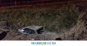 Se quedó dormido y terminó con su auto dentro de un desagüe