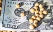 Julio cerró con un récord histórico de liquidación agroexportadora: 4.102 millones de dólares