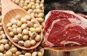Proteínas: ¿es mejor la carne o la soja texturizada para una dieta equilibrada?