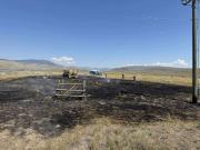Un pez cae del cielo y provoca un incendio forestal en Columbia Británica
