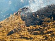 Arce confirma que se logró sofocar el incendio en la serranía de Sama e instruye cuantificar daños