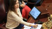 Victoria Villarruel denunció a un periodista aliado de Javier Milei y crece la interna