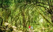 Ni Jujuy ni Tucumán: el paraíso tropical que se esconde en esta provincia y es ideal para una escapada