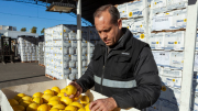 Cambio en el control de alimentos: el Gobierno disolvió la CONAL y sus funciones pasarán al ANMAT y el SENASA