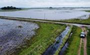Municipio de la Provincia en crisis: peligra la cosecha de granos y el ganado por la inundacion del 80% de los campos