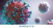 Alerta Covid-19: detectan en la Argentina los primeros casos de la variante Frankenstein
