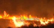 Alerta en el barrio Viru Viru: Incendio de pastizales pone en riesgo viviendas cercanas