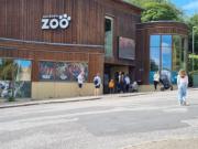 Un zoo pide a la gente donar sus mascotas pequeñas para alimentar a sus animales