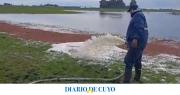 Un camión quedó varado en Bolívar y tuvieron que tirar la leche en el barro
