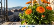 La planta que florece durante todo el invierno y es fácil de mantener