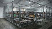 Arzobispo de Miami logra acceder al centro de migrantes Alligator Alcatraz: brindará atención pastoral a migrantes