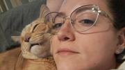 Día del veterinario y el legado de Pirata: amor puro y la lección de un gatito que Sofía no olvidará