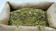 Klingbel sobre la crisis de productores: “Tuve que dejar la yerba y el té porque ya no hay rentabilidad