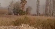 El fuego avanzó sobre pastizales y generó preocupación entre los vecinos de El Médano: los videos