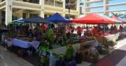 Vuelve la Feria Agroproductiva de San Juan, con productos frescos y sabor local
