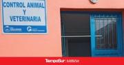 Diana Chicuy destacó la labor de los veterinarios municipales y el trabajo del Castramóvil en Río Gallegos