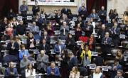 Diputados se anotó otra victoria con la media sanción a la emergencia pediátrica