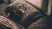 El método militar para dormir rápido: cómo es el truco para hacerlo