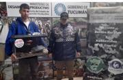 Rescataron un falso camaleón en peligro de extinción: lo vendían en pleno centro tucumano