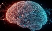 Cómo cuidar tu salud cerebral: las mejores 5 recomendaciones y por qué prestarle atención