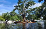 El río Orinoco inunda caseríos Querebero y La Mula en el municipio Angostura – Correo del Caroní
