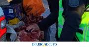 Detuvieron a cazadores ilegales con tres guanacos faenados en Albardón