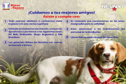 Jornada de atención para mascotas se realizará este sábado 9 de agosto