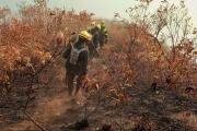 Alcaldía de Tarija destaca formación de bomberos y solidaridad en defensa de la reserva de Sama