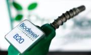 El 90% de las pymes de biodiesel pararon sus plantas por la suba de las retenciones