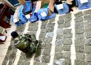 Tarija: La FELCN incauta droga valuada en 70 mil dólares