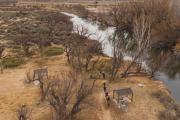 Paseo a caballo y comida casera a orillas del río en Senillosa: el plan para este fin de semana