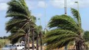 Alerta Naranja en Santa Cruz: fuertes vientos hasta el 2 de agosto