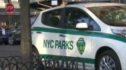 Adolescente hispano es asesinado a puñaladas en un parque de Nueva York: hay cuatro detenidos