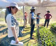 Inspeccionan viveros y parcelas de palma aceitera en La Paz y Beni