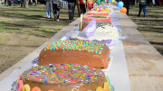 Neuquén realizará una torta de 100 metros por el Día de las Infancias