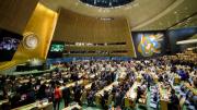 Australia reconocerá el Estado de Palestina en la Asamblea General de la ONU en septiembre