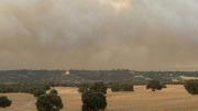 Alerta en Madrid: las impactantes imágenes del incendio que amenaza viviendas en Tres Cantos
