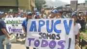 Lo que gana un profesor universitario en Venezuela en agosto de 2025, según la APUCV (+tabla)