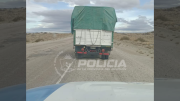 La Policía secuestró seis caballos vivos y sospecha de un robo por ser “muy baratos”