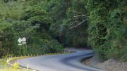 Realizan mantenimiento y asfaltado a la carretera de Ocumare de la Costa: así van los trabajos