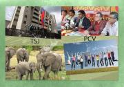 Efemérides 12 de agosto: TSJ ordena intervención contra el PCV (2023)