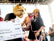 Petunia, la bulldog que fue rescatada de la calle y ganó el concurso del perro más feo del mundo