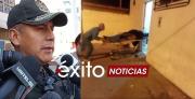 Investigan la muerte de una mujer en la zona Sur, su pareja está aprehendido