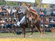 De todo el país al hipódromo: 382 caballos peruanos competirán por la gloria