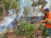Incendios 2024: 7 procesos llegaron a sentencia