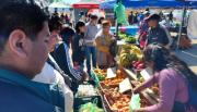 Récord de ventas en Santa Lucía: el mercado barrial que arrasó con todo