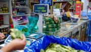 Buscan legalizar la importación de hoja de coca: un proyecto en Diputados abre el debate en Salta