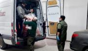 Incautaron 890 kilos de carne sobre la Ruta 22 en Neuquén: era transportada sin refrigeración ni documentación